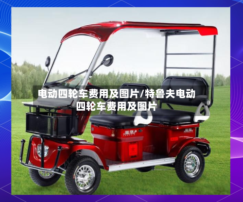 电动四轮车费用及图片/特鲁夫电动四轮车费用及图片