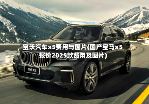 宝沃汽车x5费用与图片(国产宝马x5报价2025款费用及图片)-第2张图片