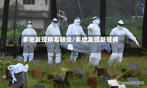 多地发现病毒肺炎/多地发现新冠病毒-第2张图片