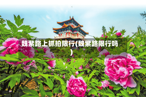 魏紫路上抓拍限行(魏紫路限行吗)-第3张图片