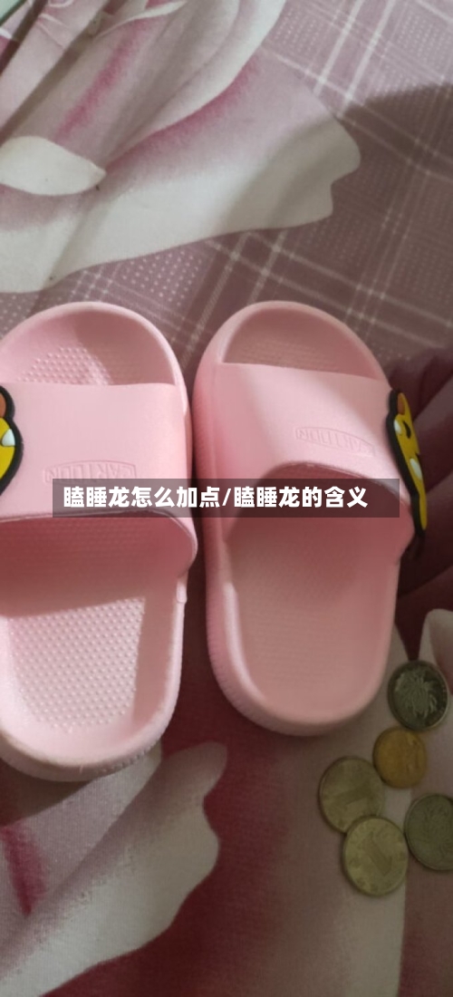 瞌睡龙怎么加点/瞌睡龙的含义