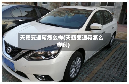 天籁变速箱怎么样(天籁变速箱怎么样啊)-第3张图片