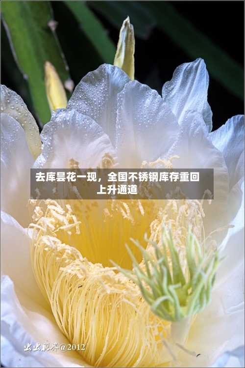 去库昙花一现	，全国不锈钢库存重回上升通道-第2张图片