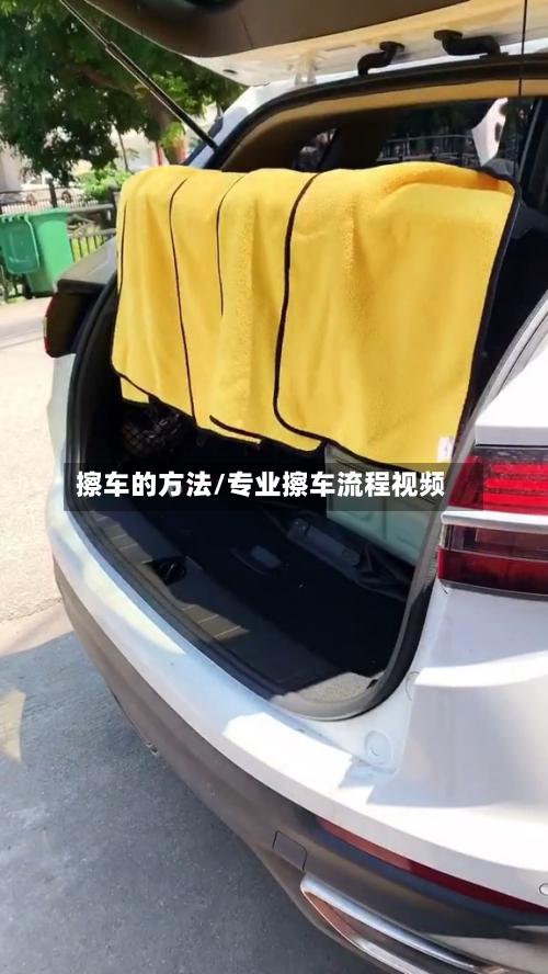 擦车的方法/专业擦车流程视频
