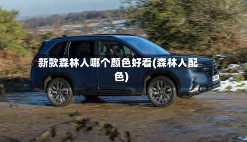 新款森林人哪个颜色好看(森林人配色)