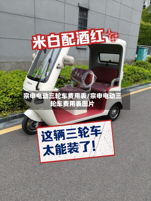 宗申电动三轮车费用表/宗申电动三轮车费用表图片