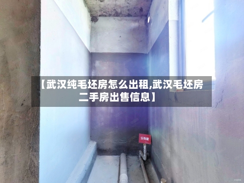 【武汉纯毛坯房怎么出租,武汉毛坯房二手房出售信息】