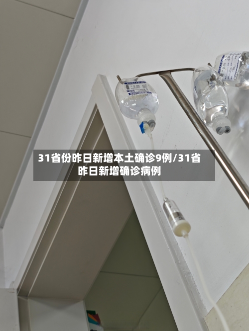 31省份昨日新增本土确诊9例/31省昨日新增确诊病例-第2张图片
