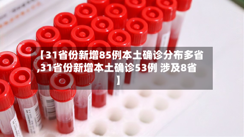 【31省份新增85例本土确诊分布多省,31省份新增本土确诊53例 涉及8省】