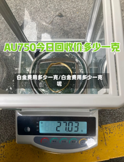 白金费用多少一克/白金费用多少一克呢